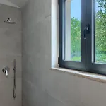 ヴィラ Luxury Arman With Whirlpool In Visinada ヴィジナダ