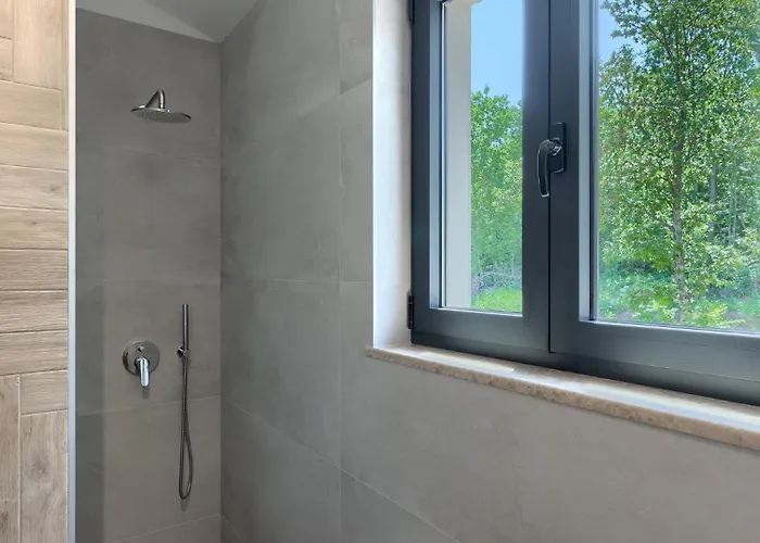 Villa Luxury Arman With Whirlpool In Visinada Vižinada