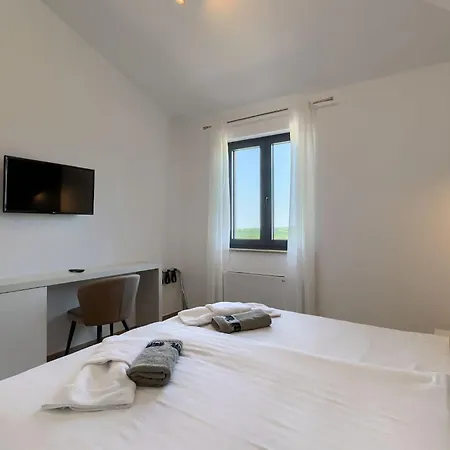 Luxury Arman With Whirlpool In Visinada Villa