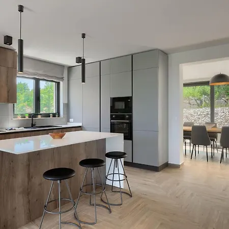 Luxury Arman With Whirlpool In Visinada Villa